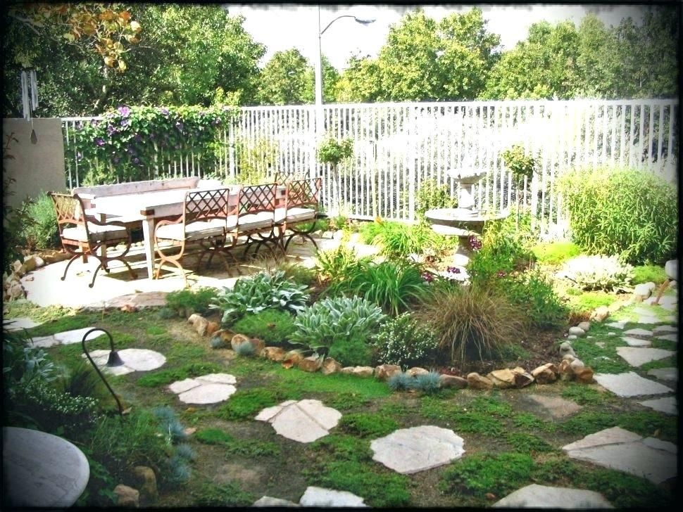 Small Backyard Landscaping