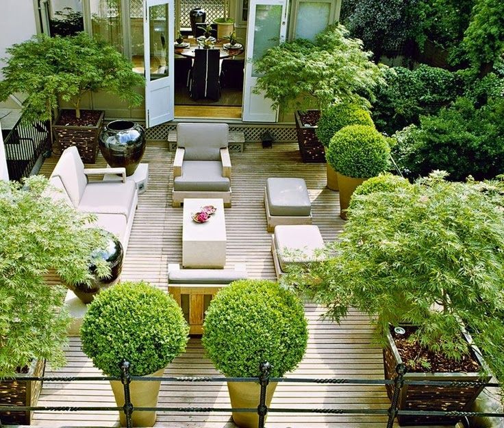 A Rooftop Garden Oasis
