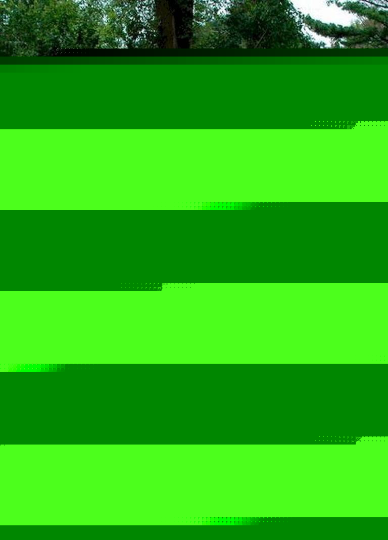 Pretty Front Yard Landscaping Design Ideas