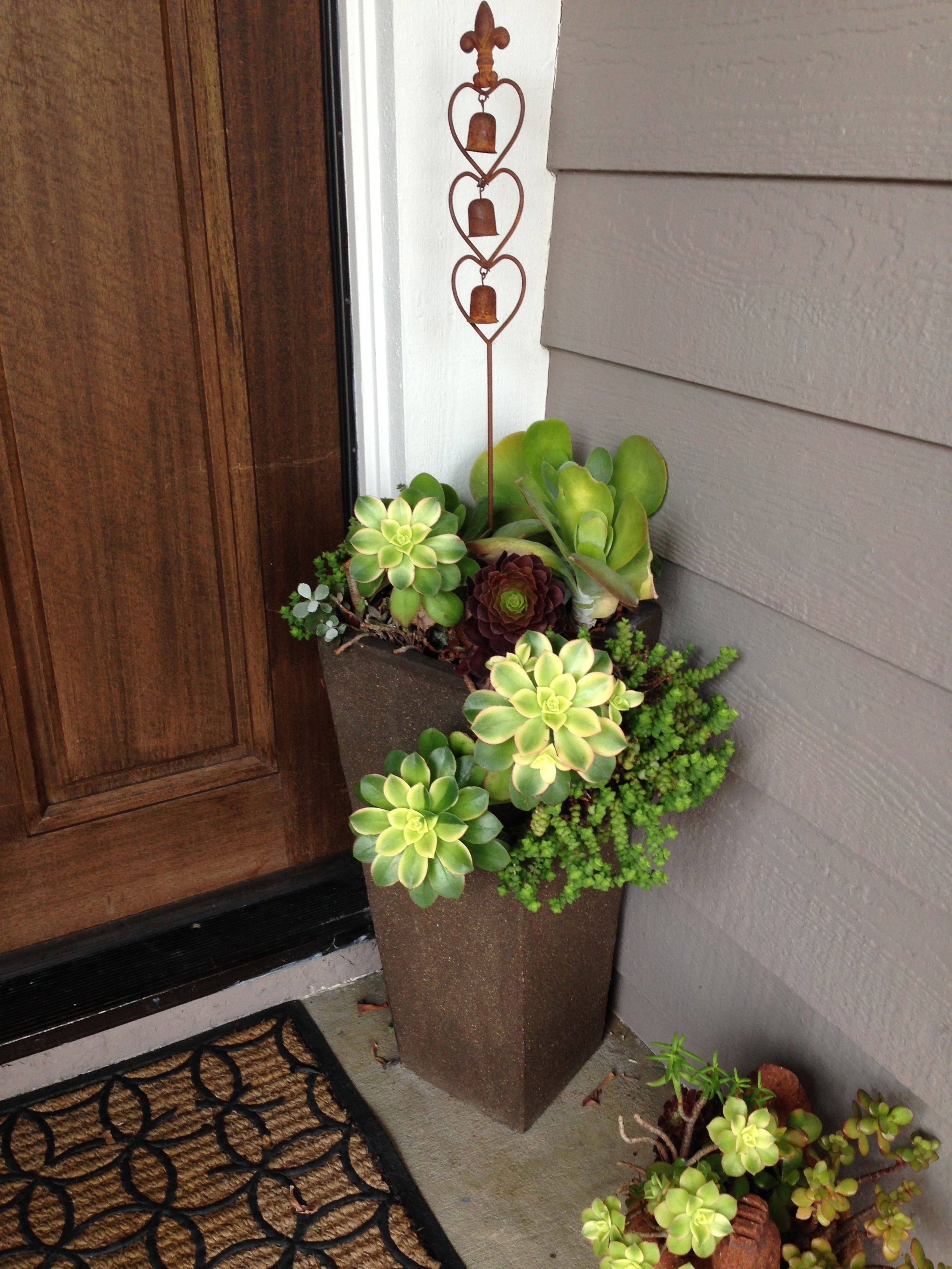 Front Door Container Gardens