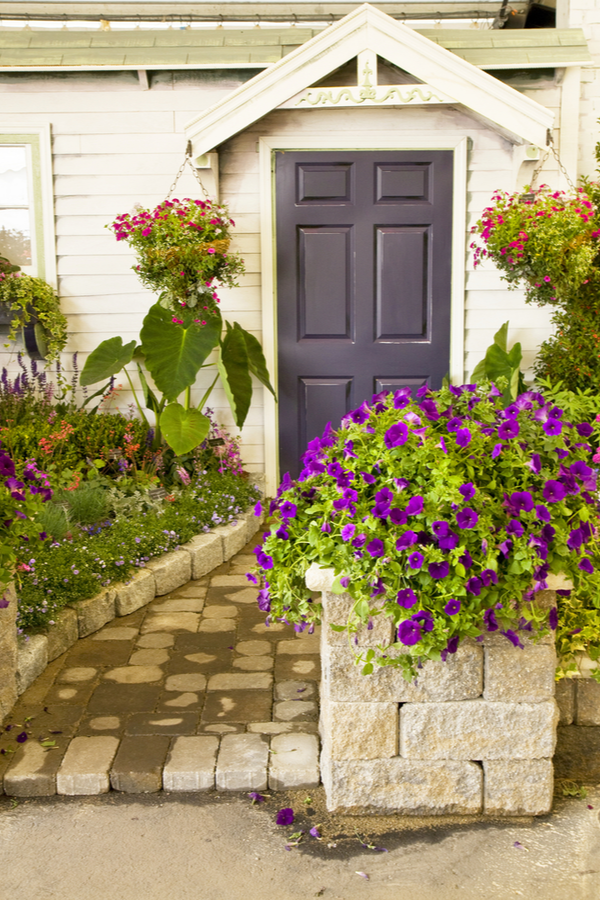 A Dramatic Front Door Container Garden Pottery Barn