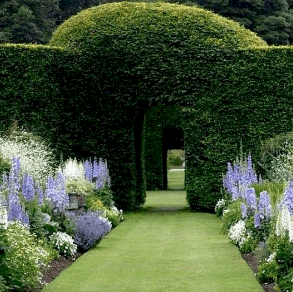 Best English Garden Ideas