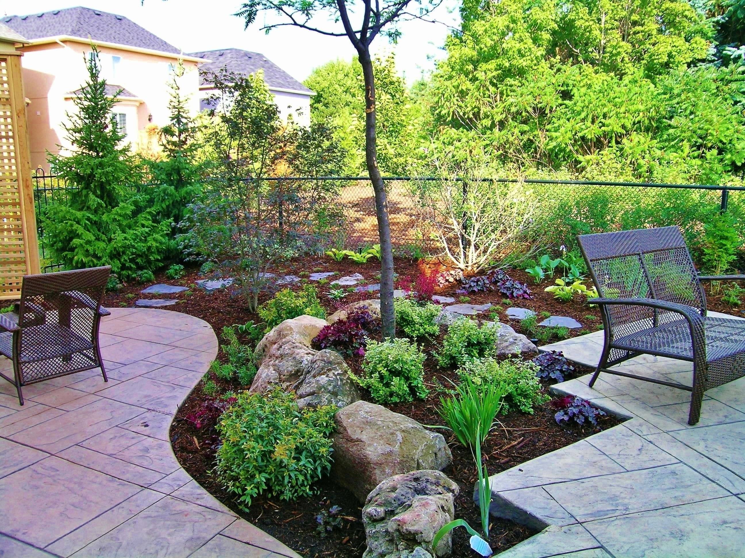 Perfect Backyard Landscape Ideas