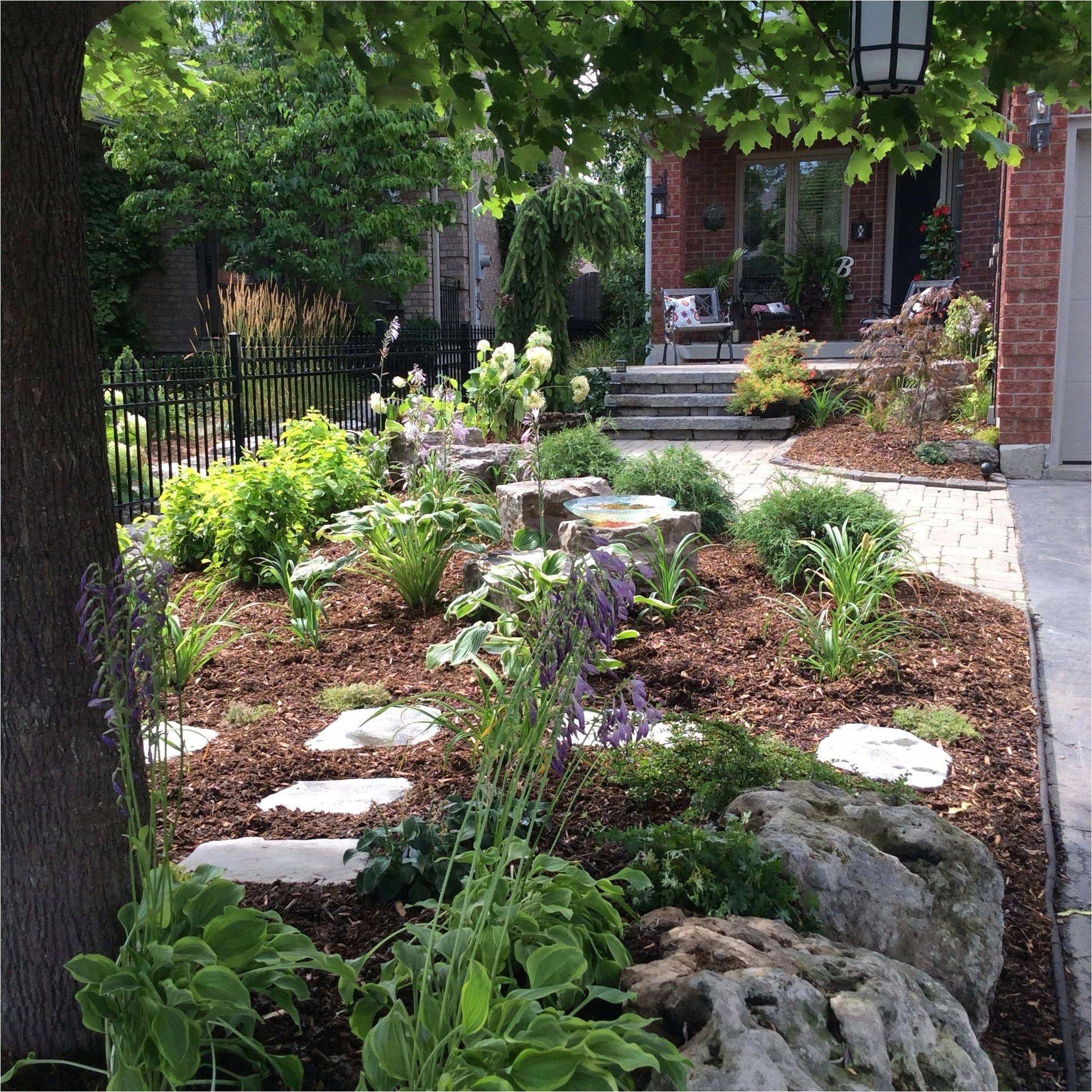 Best Landscaping Design Ideas