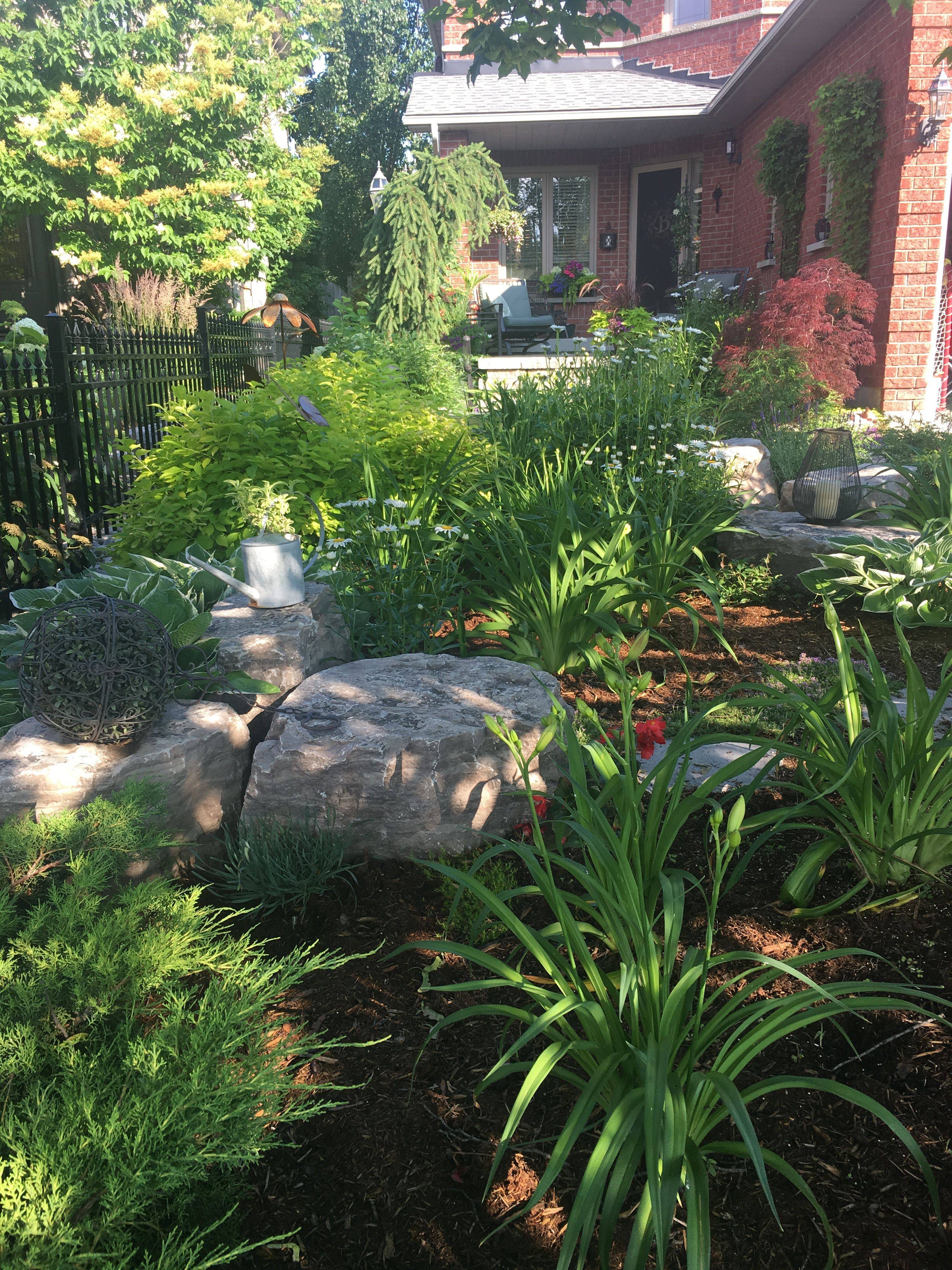 Backyard Grass Landscaping