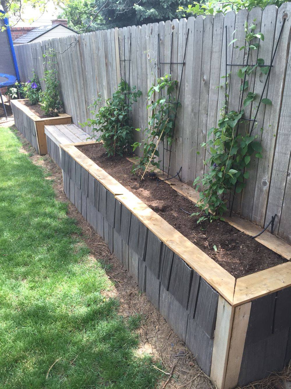 Raised Garden Fence Ideas