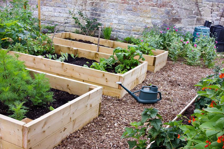 Raised Wooden Garden Bed Designs