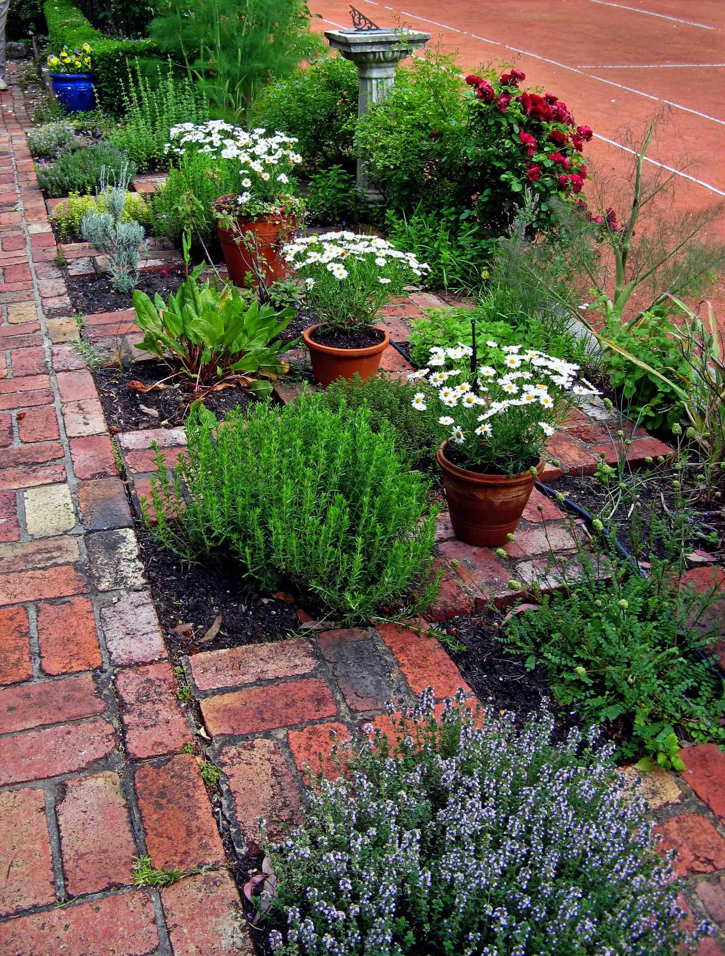 Most Brilliant And Attractive Patio Herb