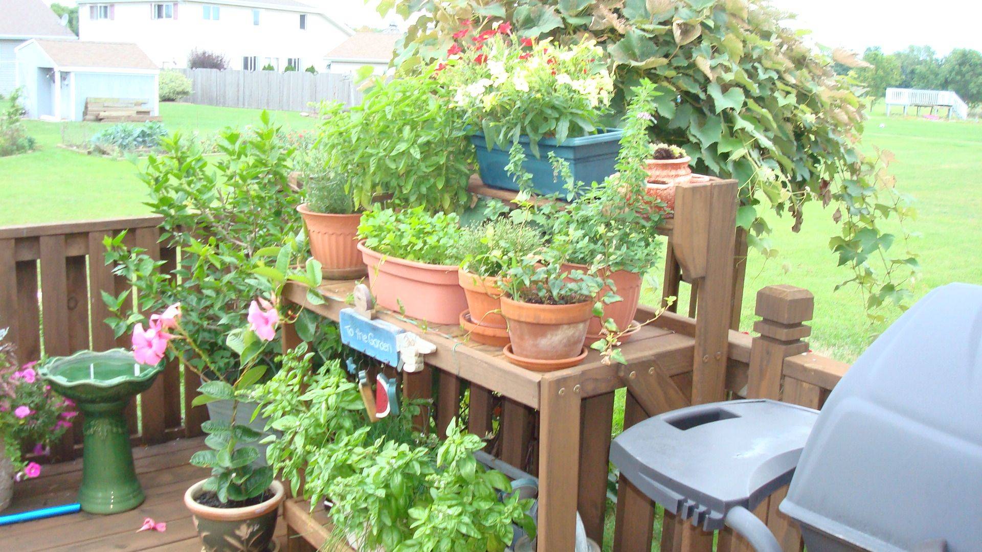 Aweinspiring Container Garden Ideas On Deck Container Herb Garden