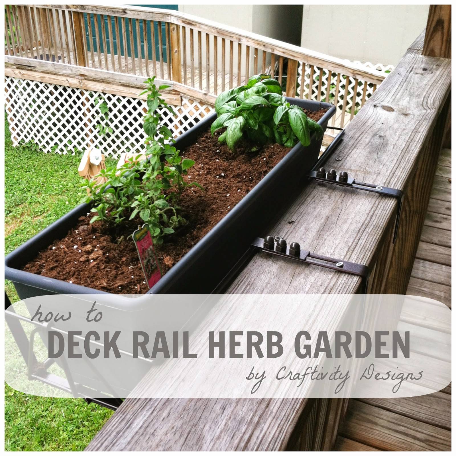 A Patio Herb Garden