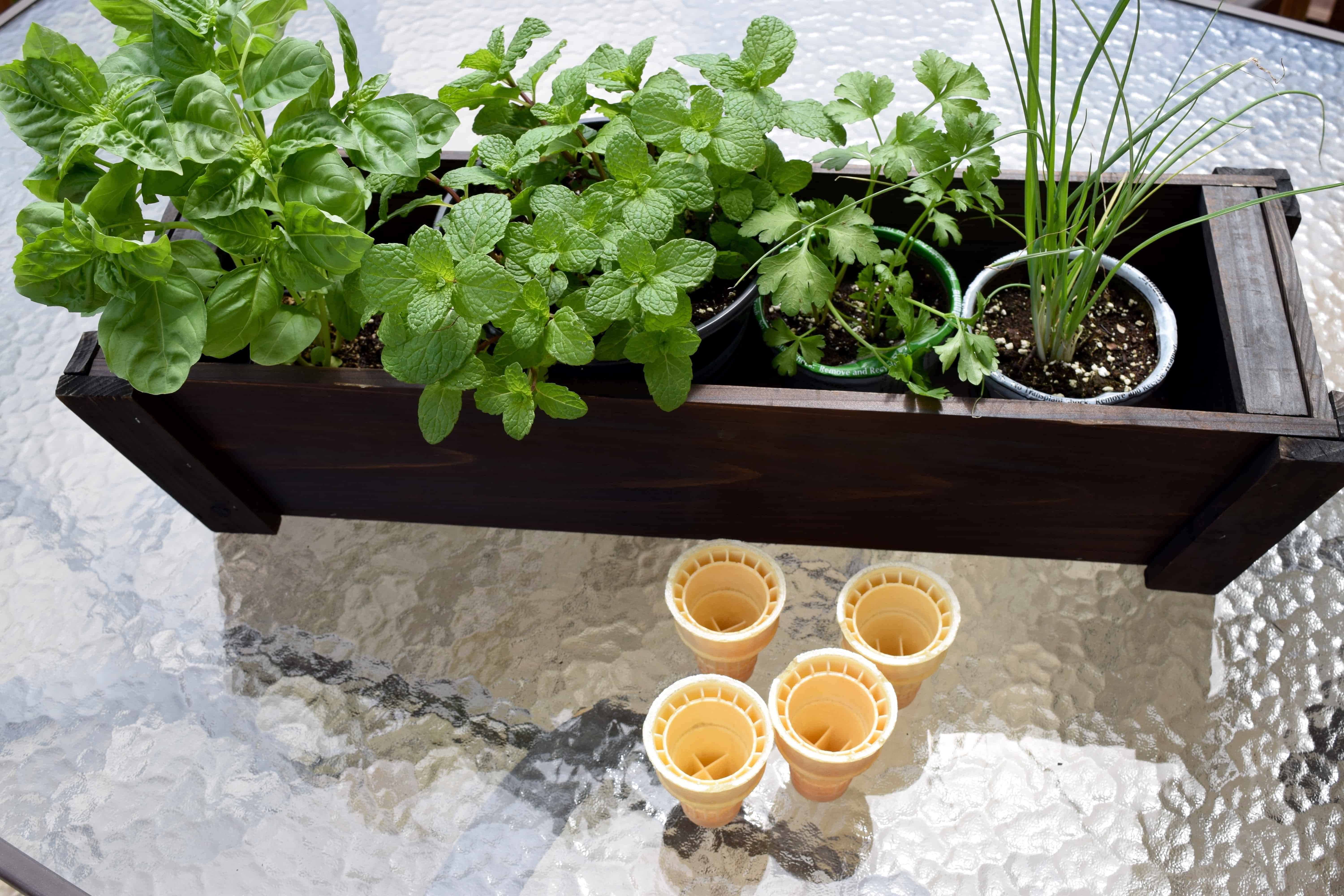 Container Herb Garden