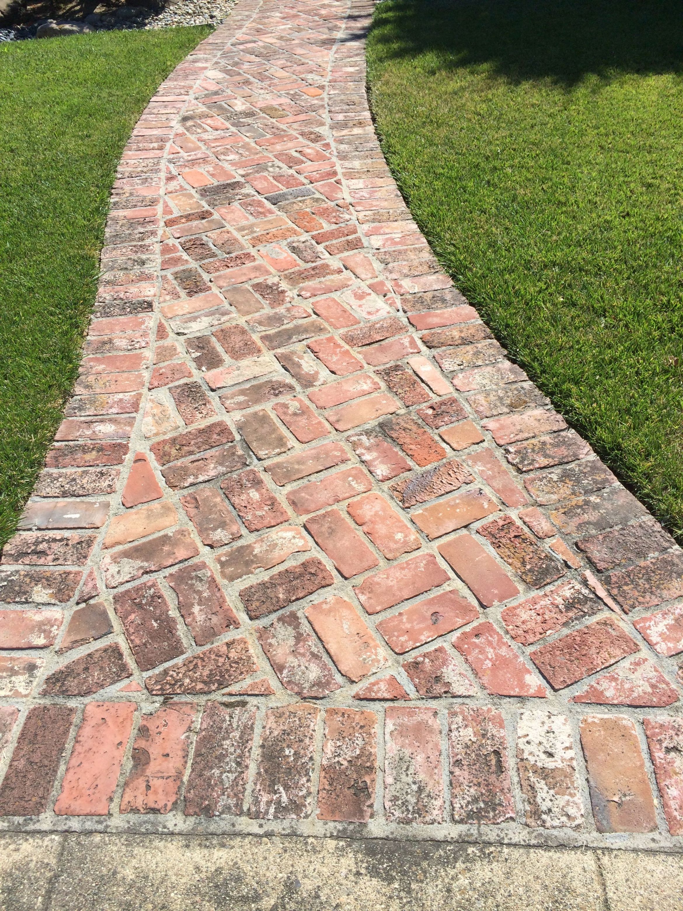 The Garden Path Sloped Garden