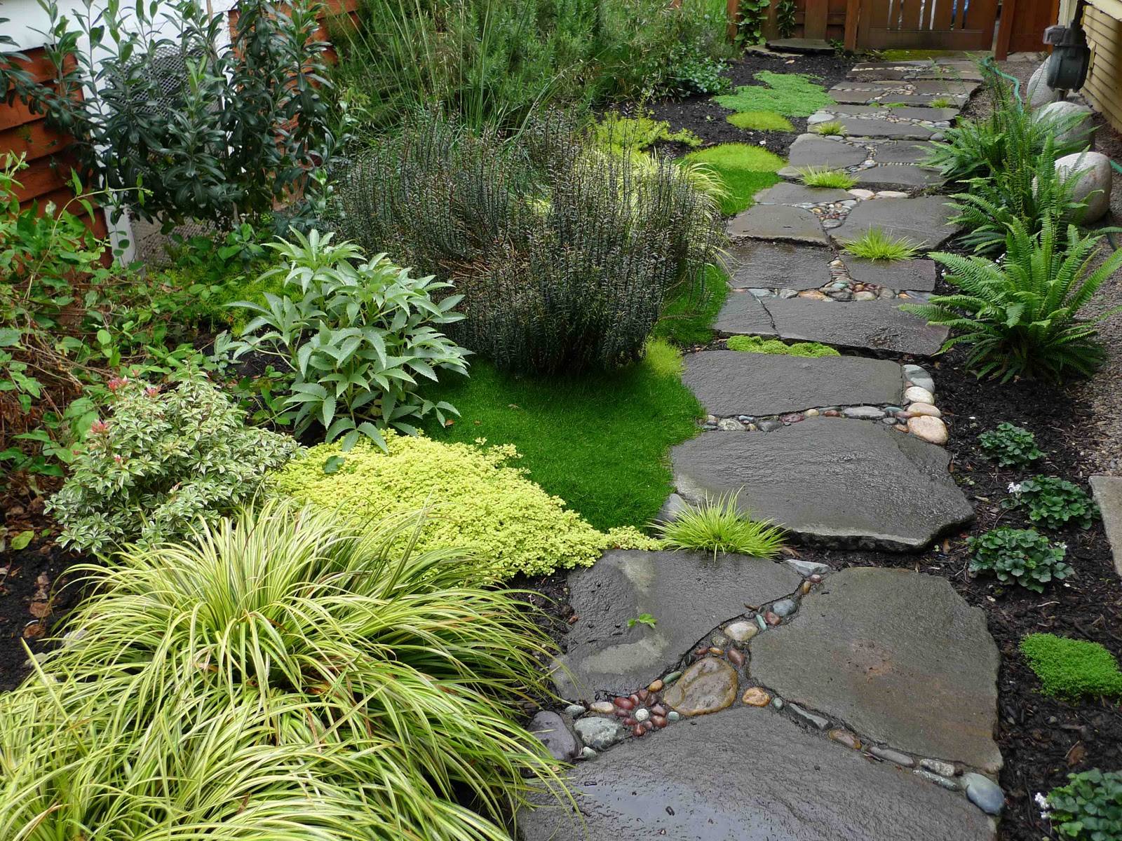 Mesmerizing Garden Stone Path