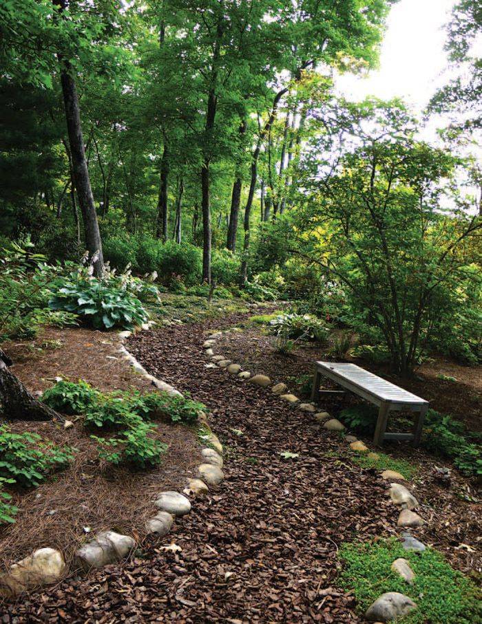 Woodland Garden Path Ideas