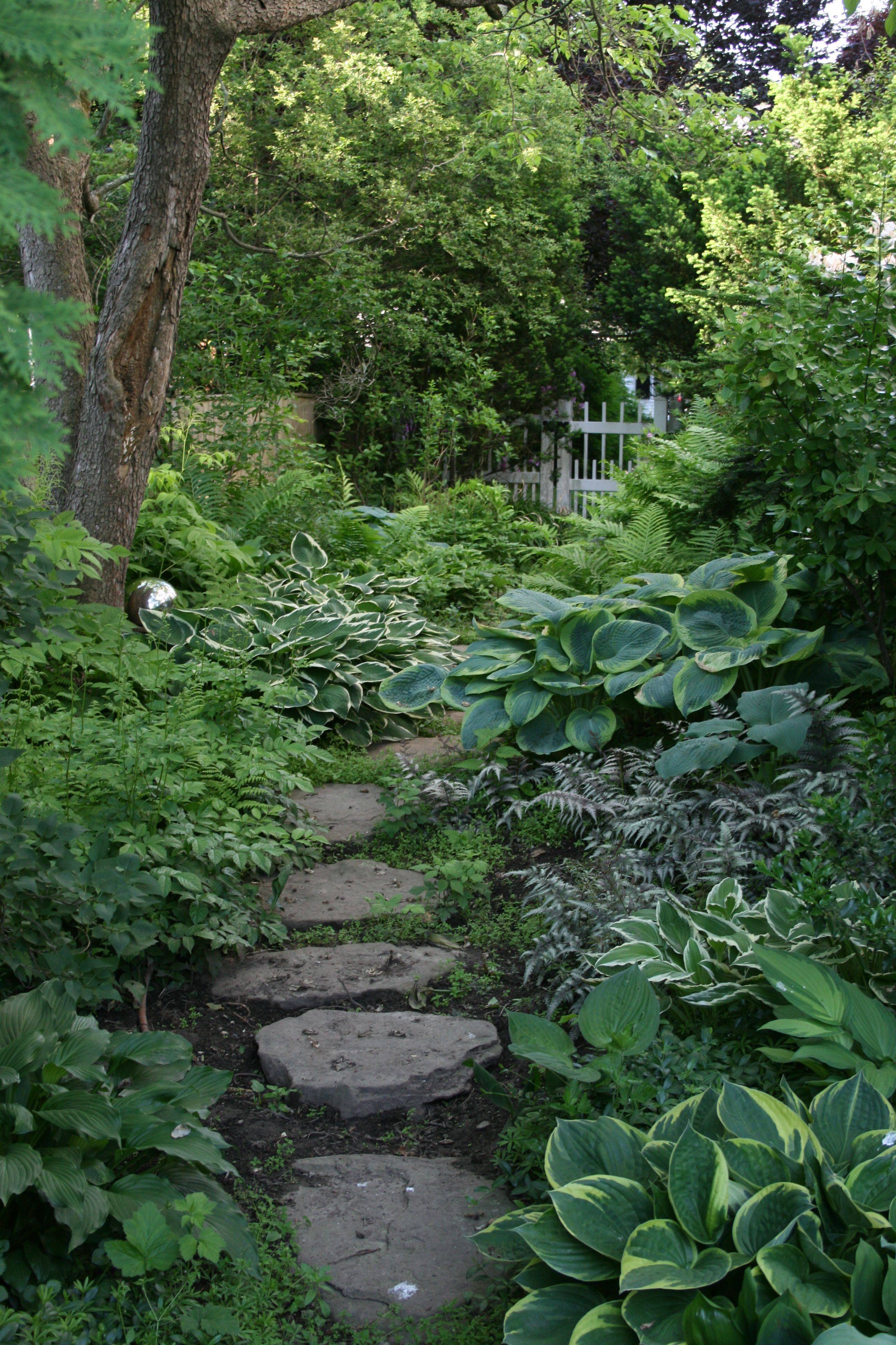 Woodland Garden Path Ideas