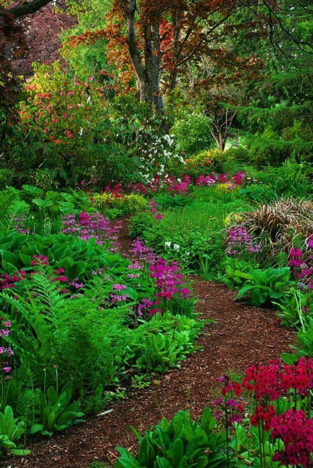 A Woodland Garden Path