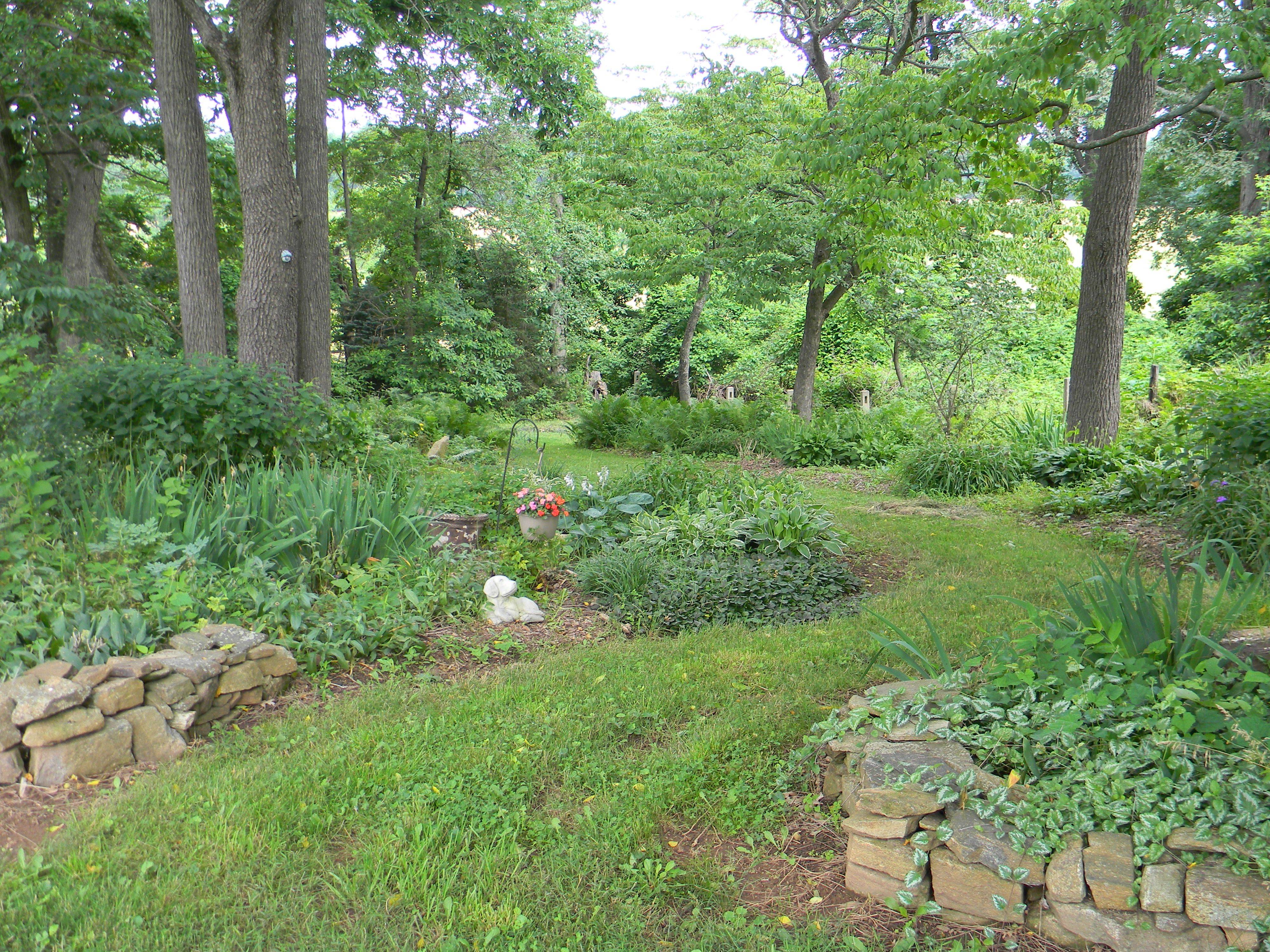 Landscape Design Tips