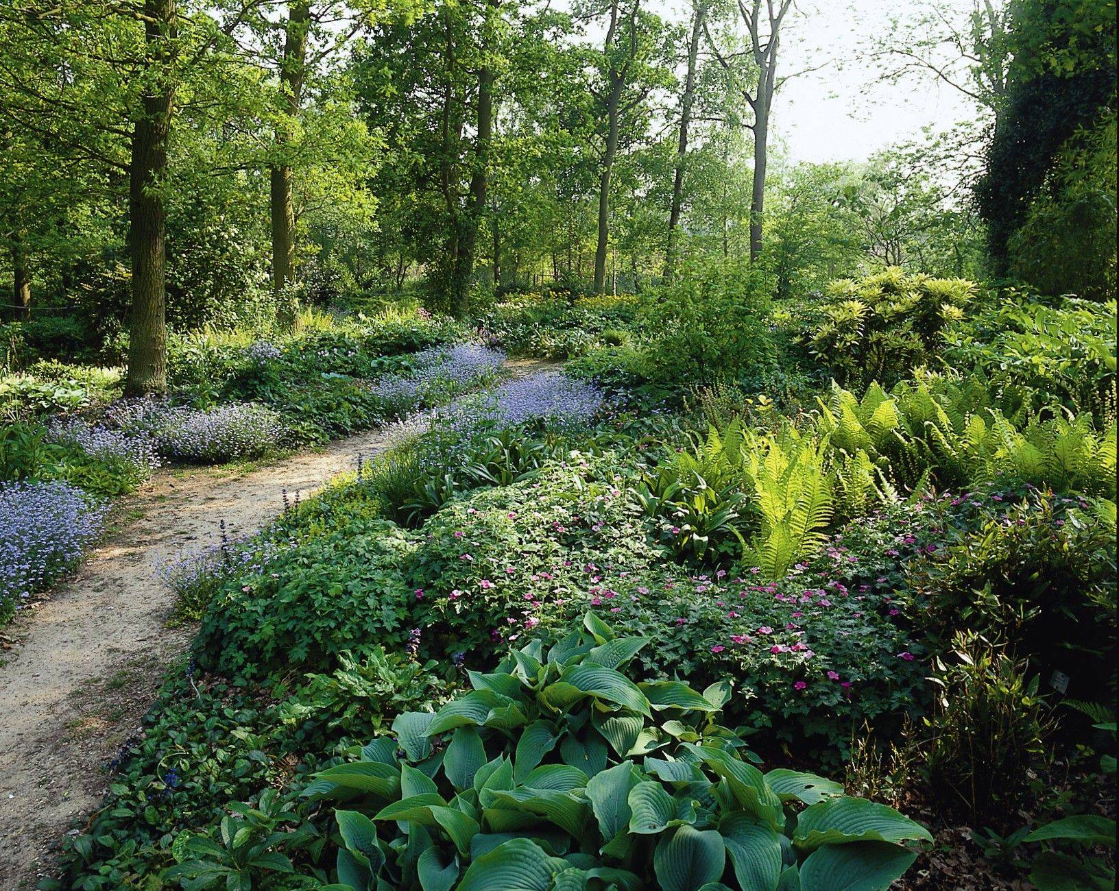Unusual Garden Path Design Ideas