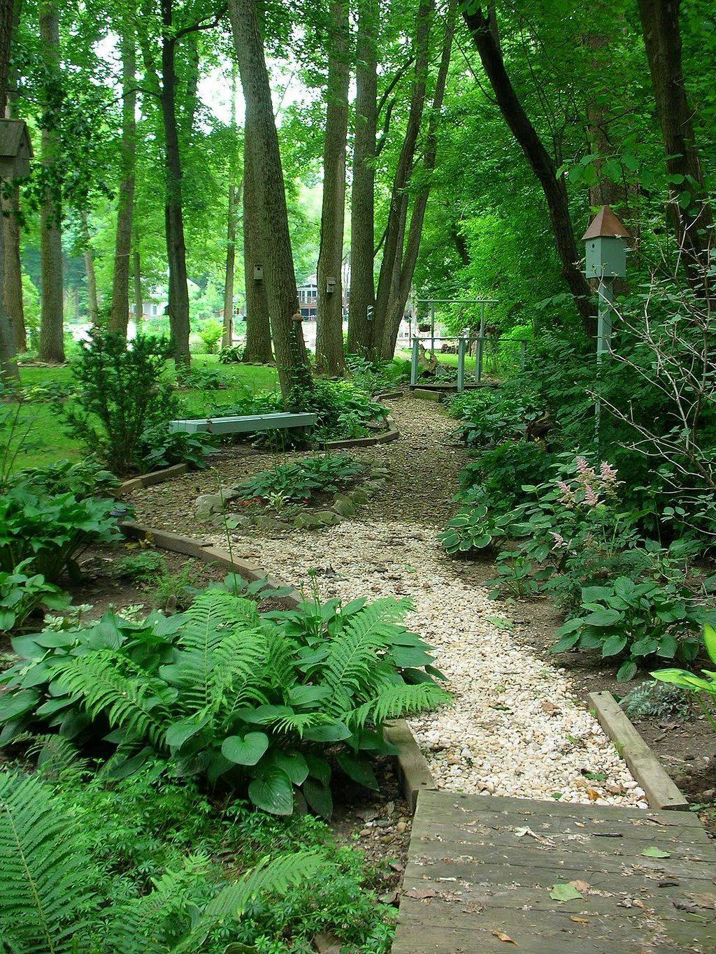 Woodland Garden Path