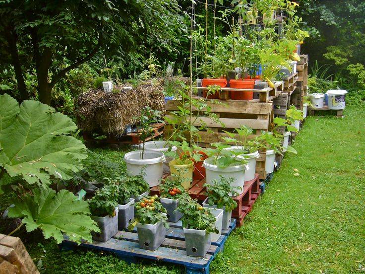 Creative Vegetable Garden Ideas
