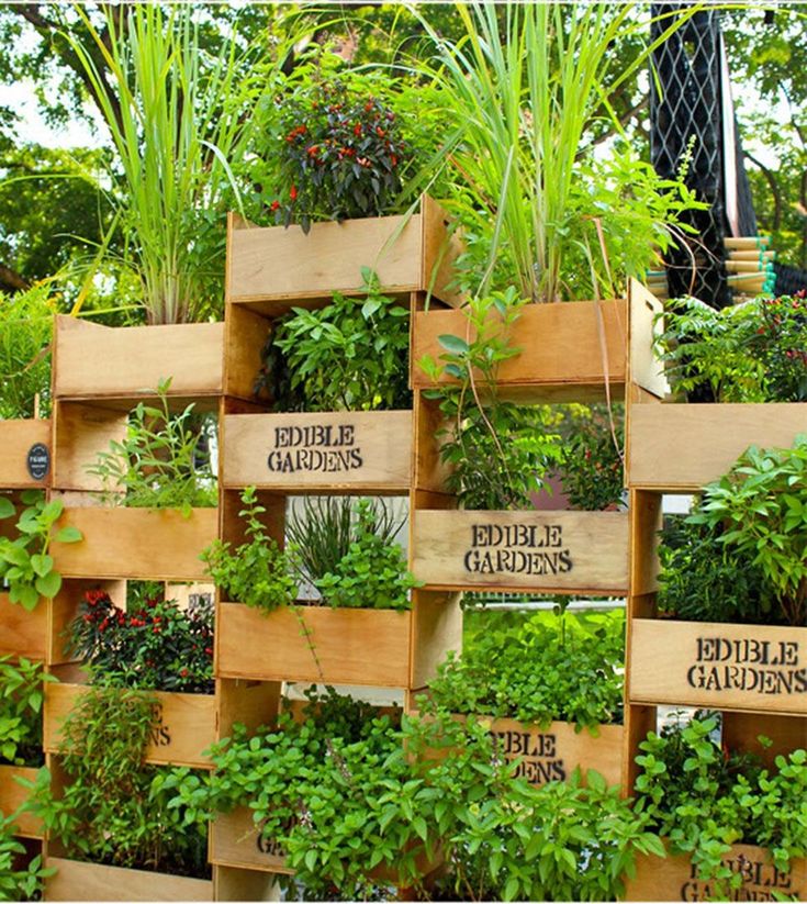 Creative Vegetable Garden Ideas And Decorations