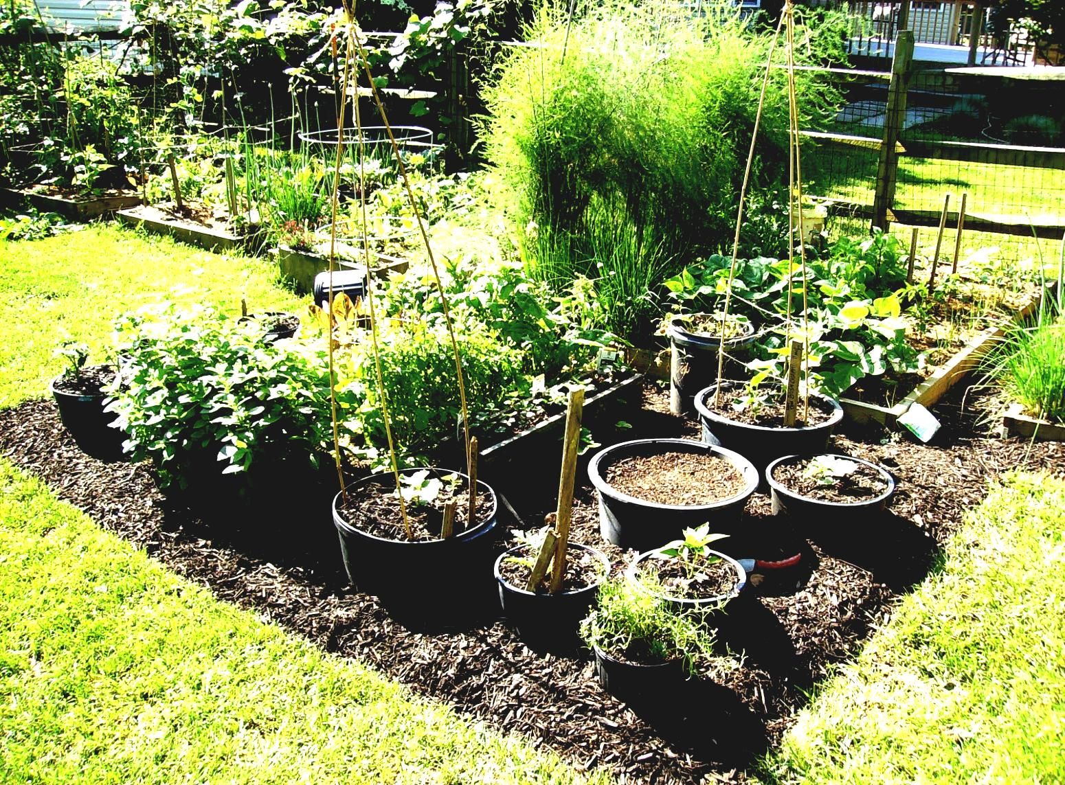 Creative Vegetable Garden Ideas And Decorations