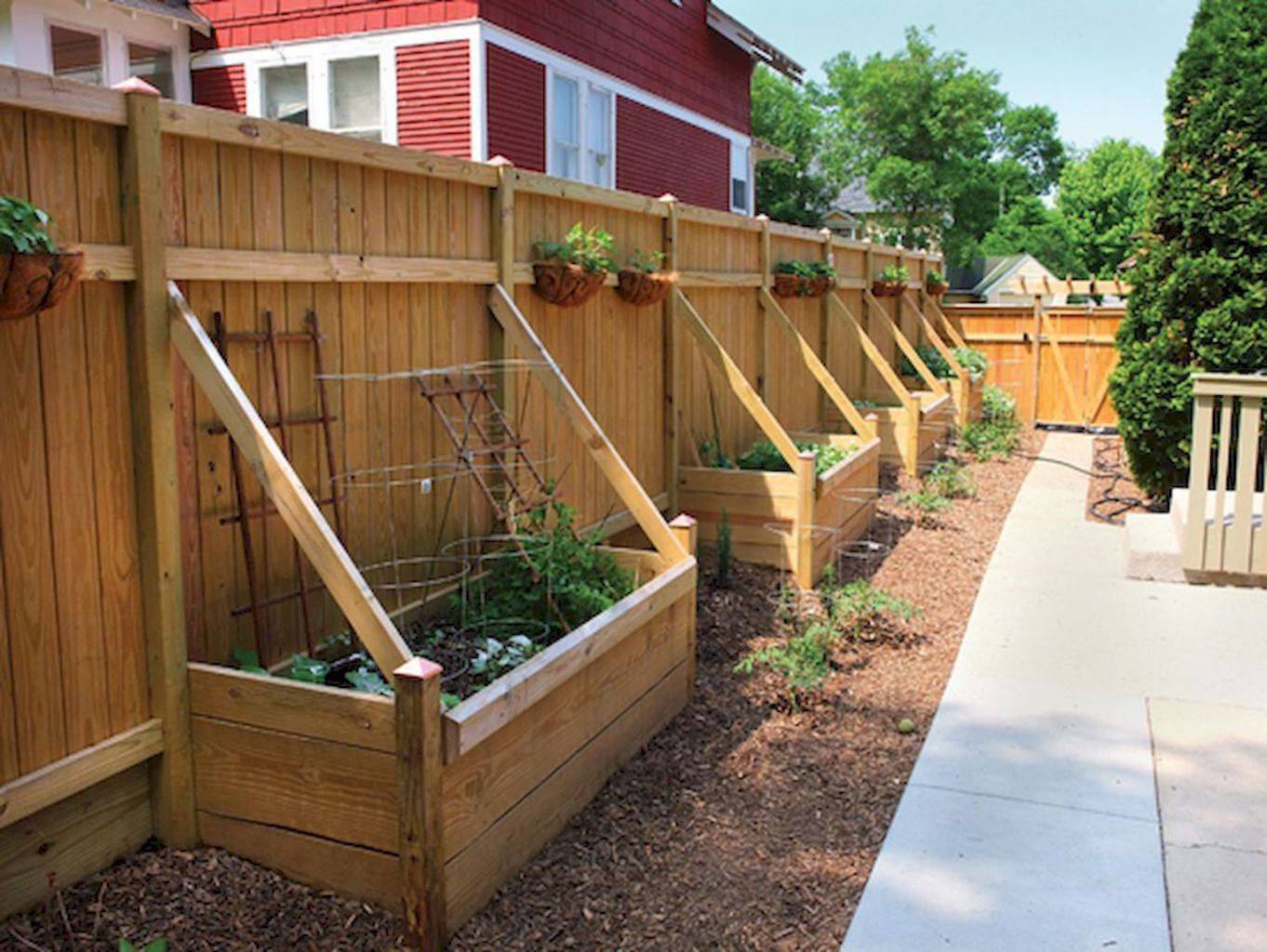 Cheap Vegetable Garden Fence