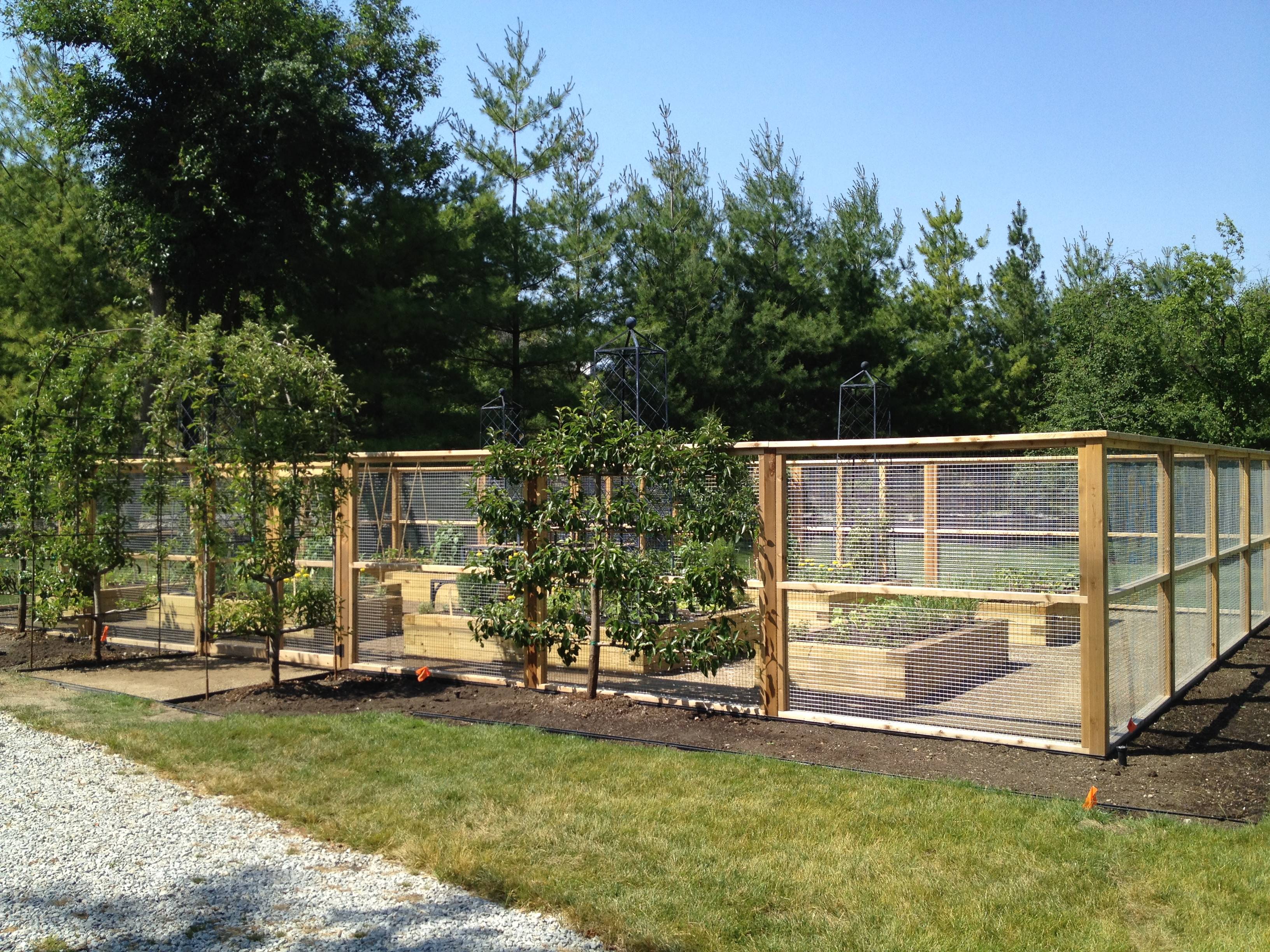 Our Vegetable Garden Modern Design
