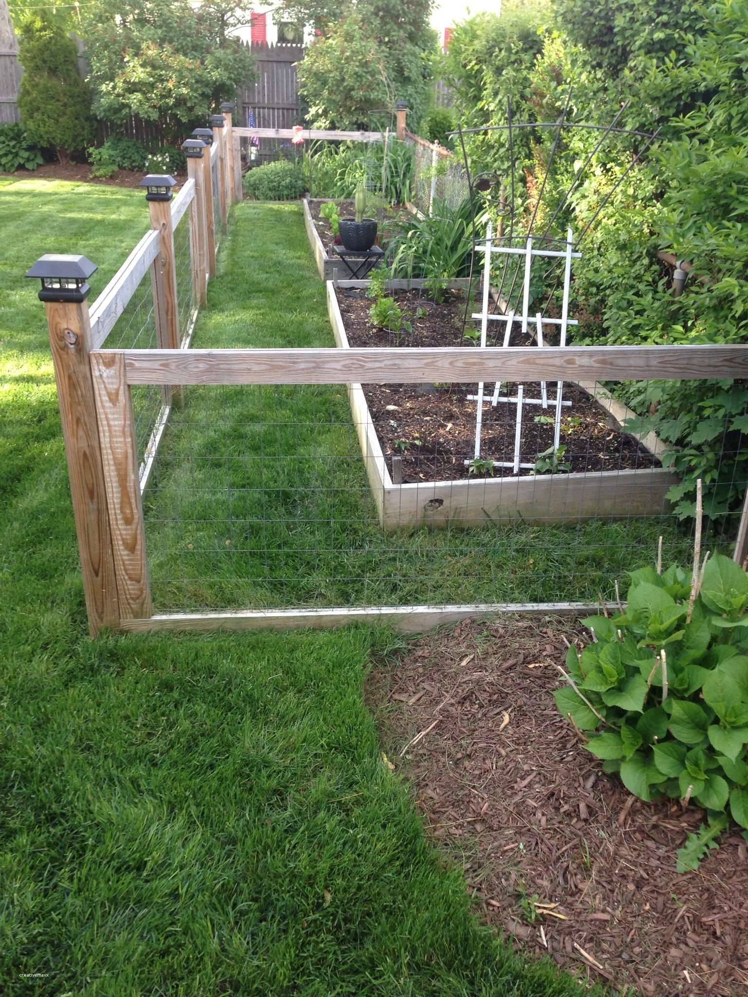 Stunning Vegetable Garden Fence Ideas