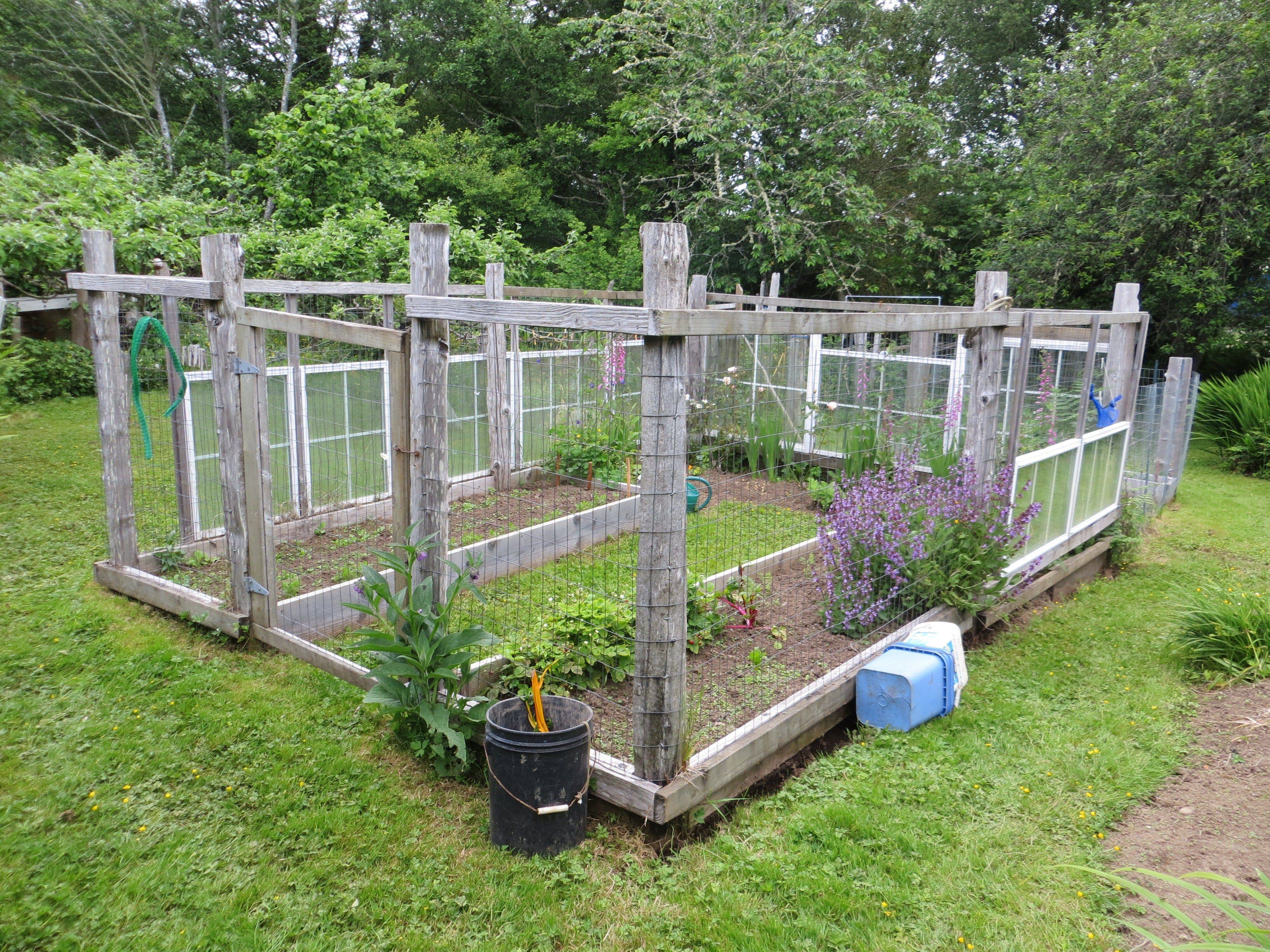 Vegetable Garden Fence Height