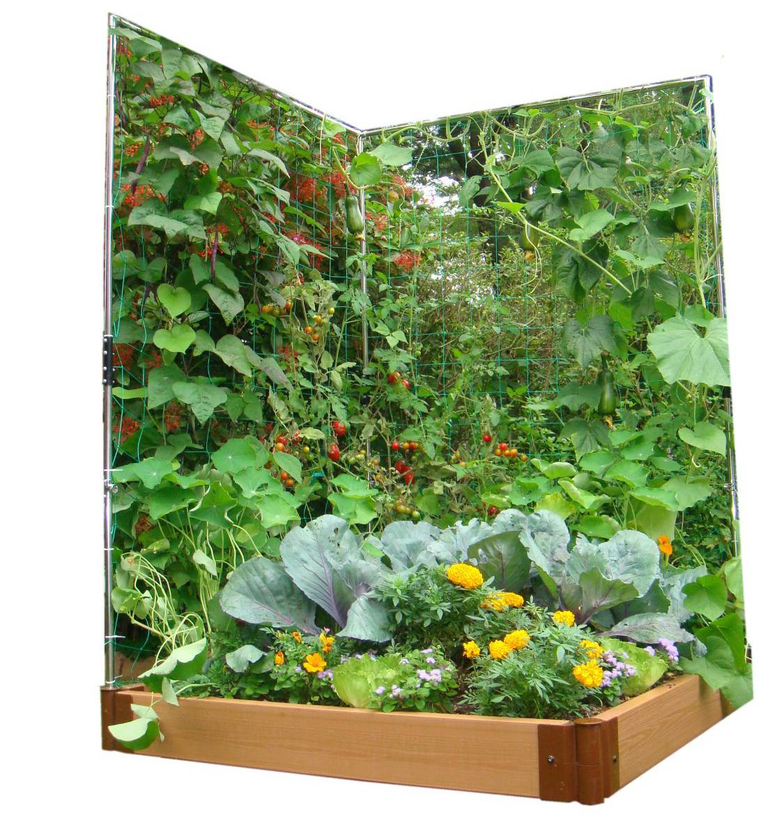 Lovely Raised Vegetables Garden Ideas Matchnesscom Vertical