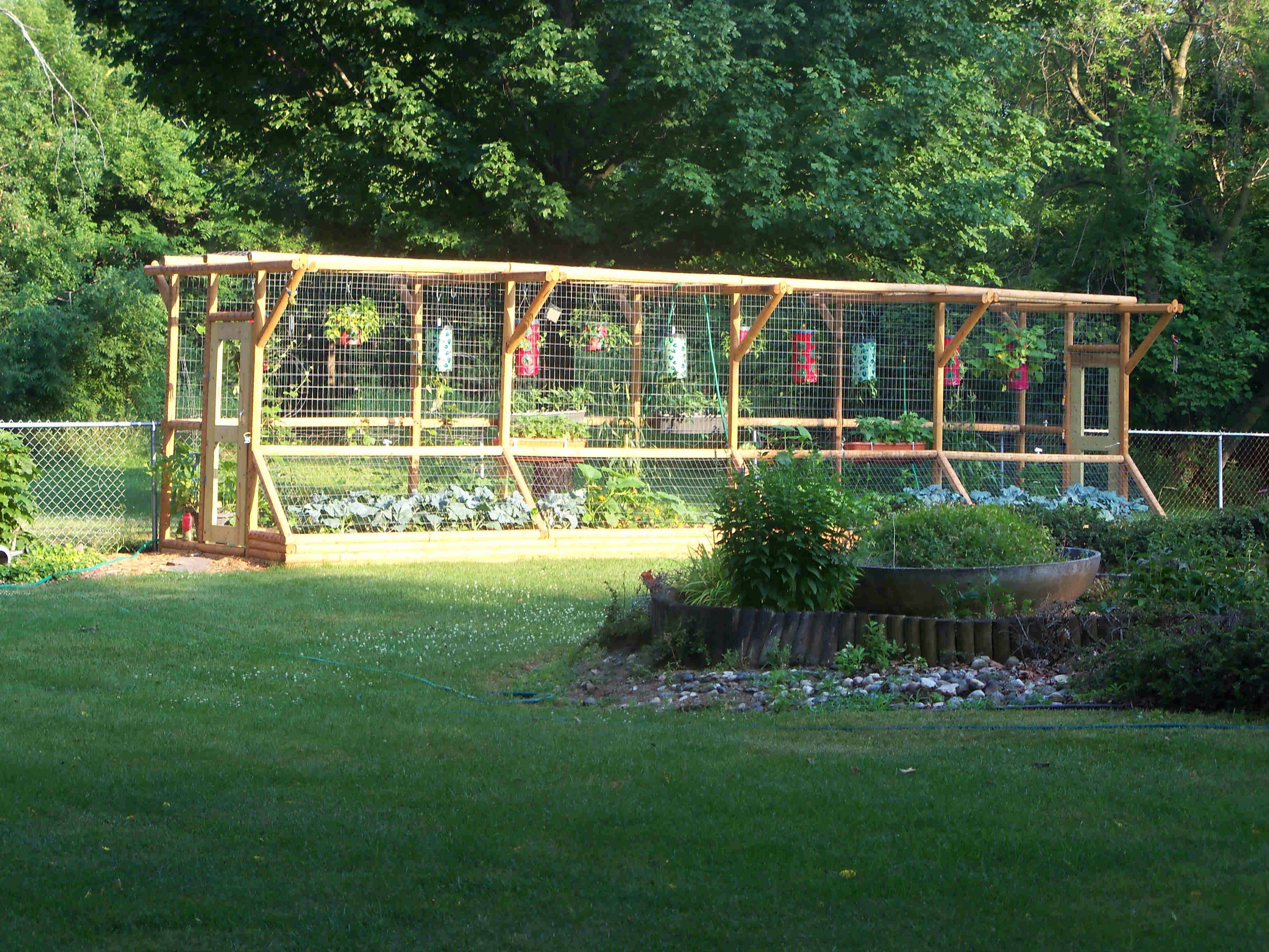 Vegetable Garden Fence Chicken Wire Interior