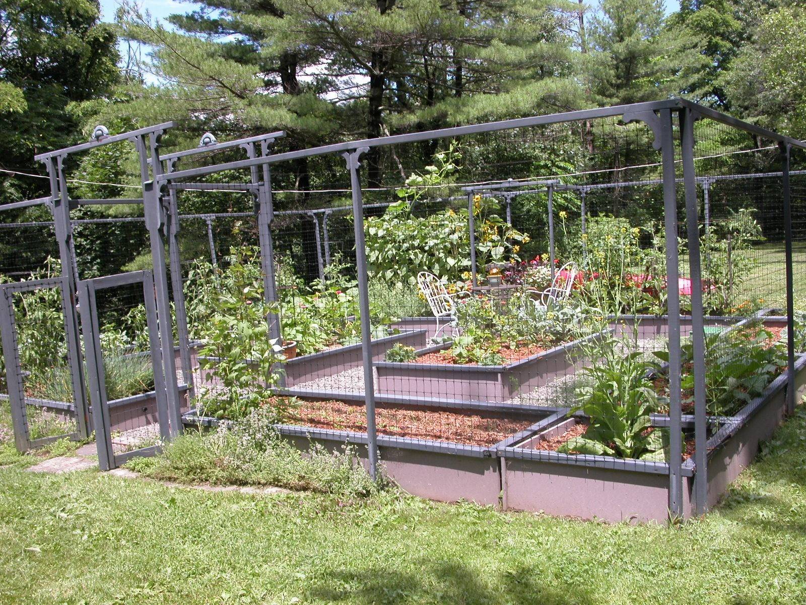 Brilliant Best Deer Resistant Garden Ideas Httpsfancydecorsco