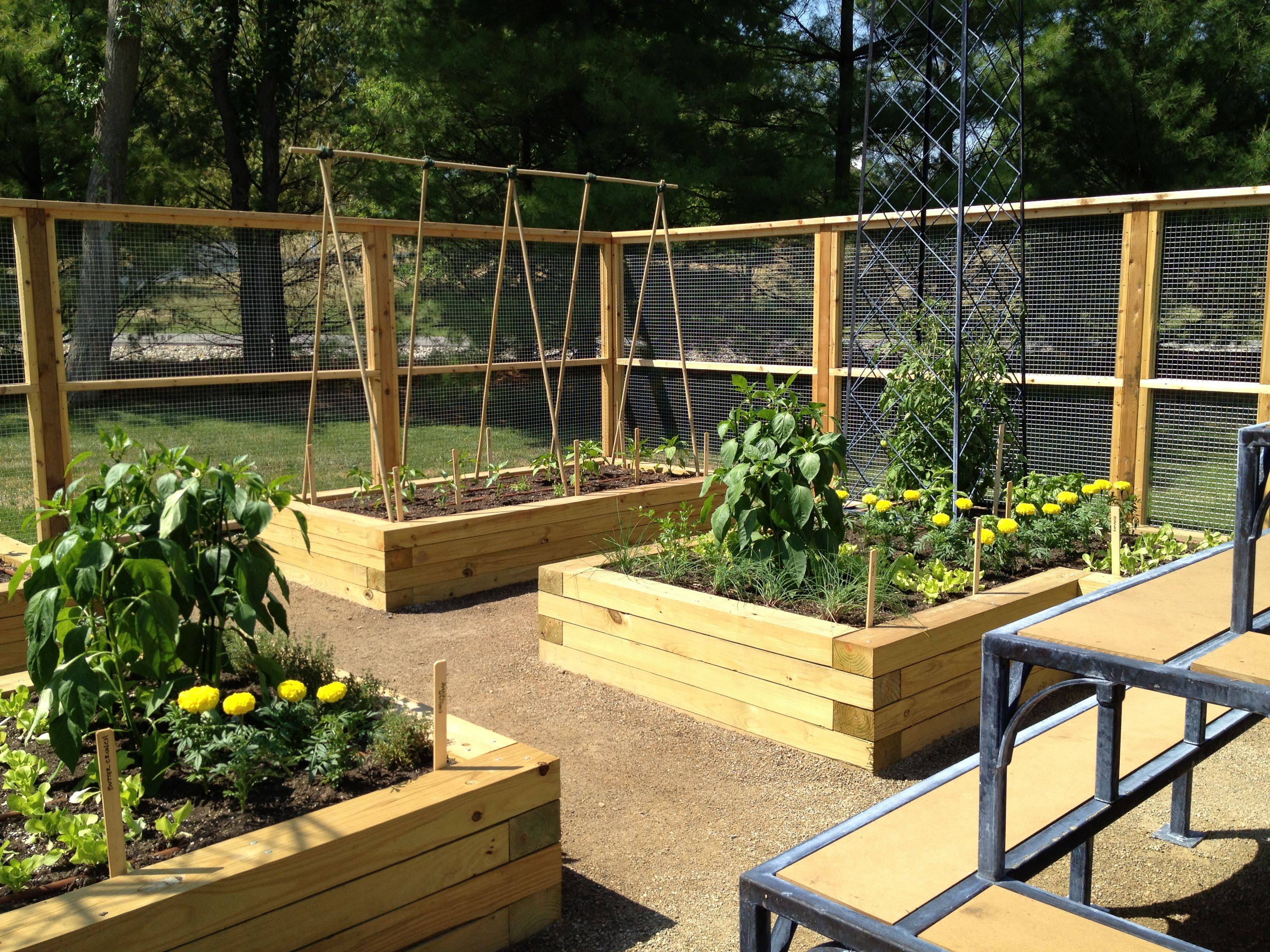 Fenced Vegetable Garden Vegetable Garden Design