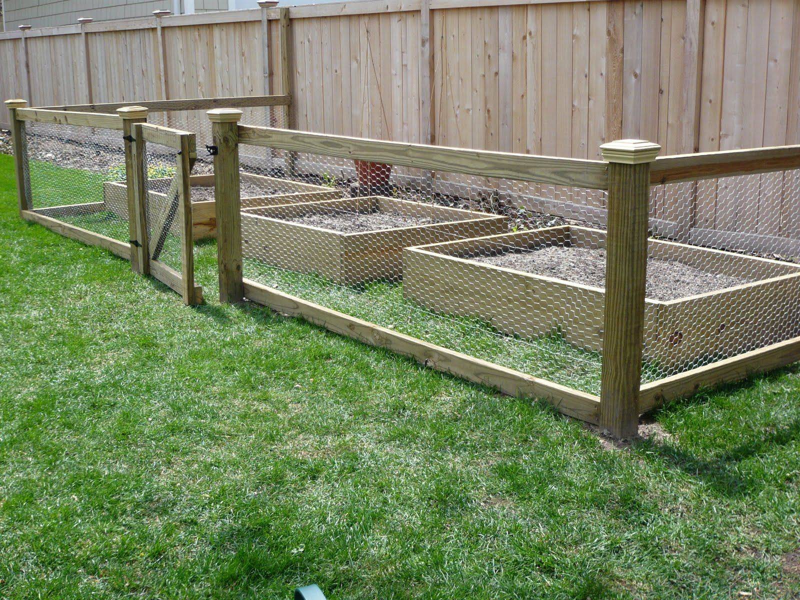 Raised Vegetable Garden Fence Fenced Vegetable Garden
