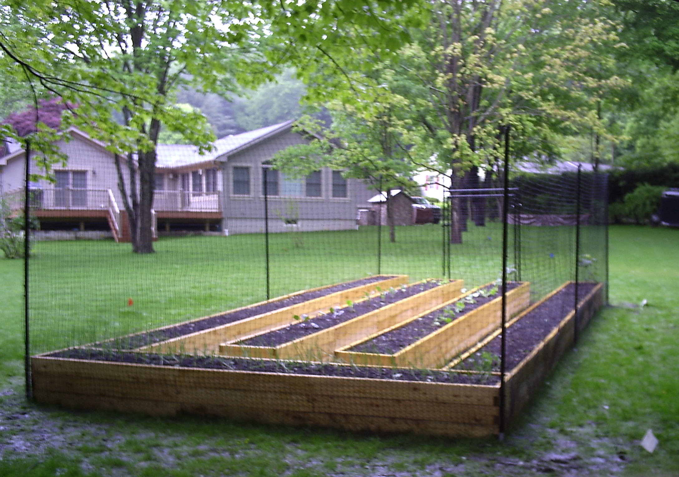 Vegetable Garden Fence Ideas Hawk Haven