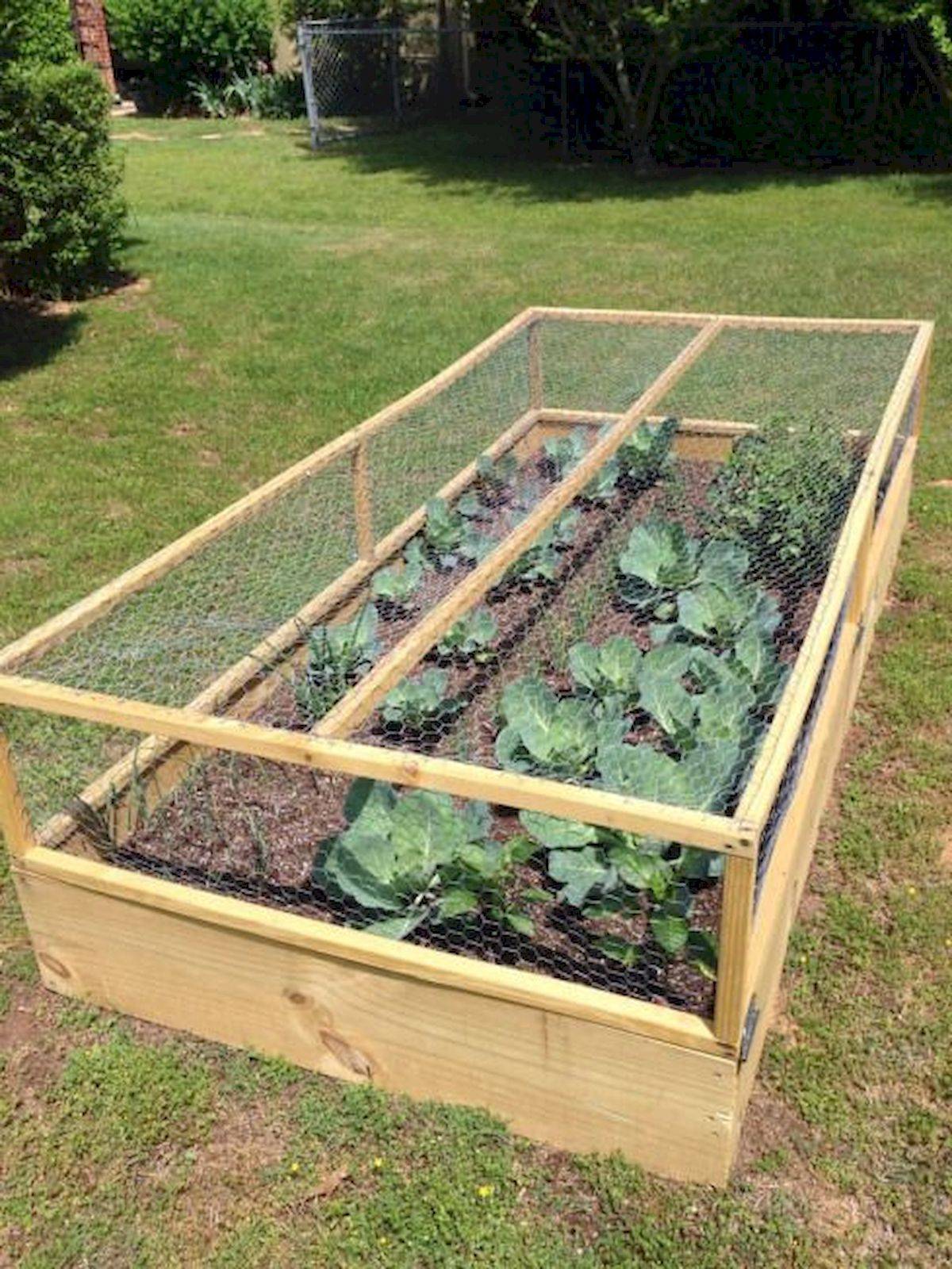 Vegetable Garden Box Ideas