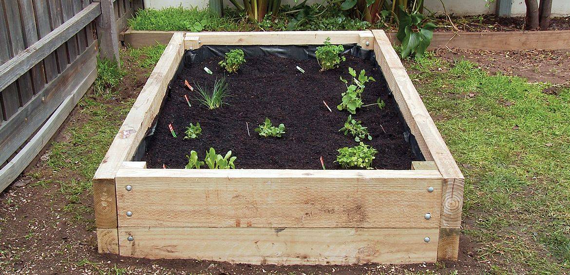 Backyard Container Vegetable Garden Ideas Garden Design