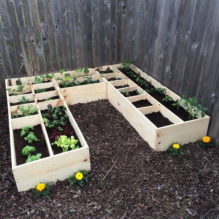 A Simple Spring Vegetable Garden Box Kellogg Garden Organics