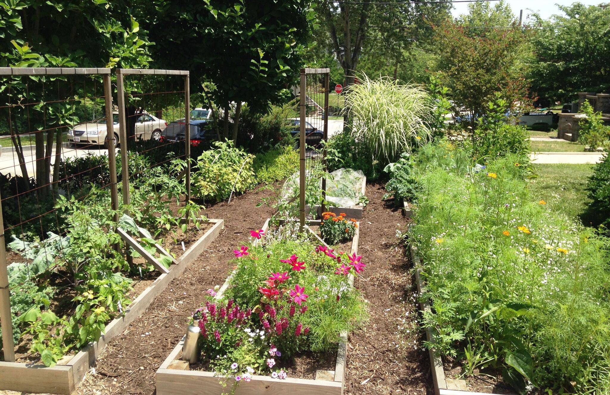 Growing A Vegetable Garden
