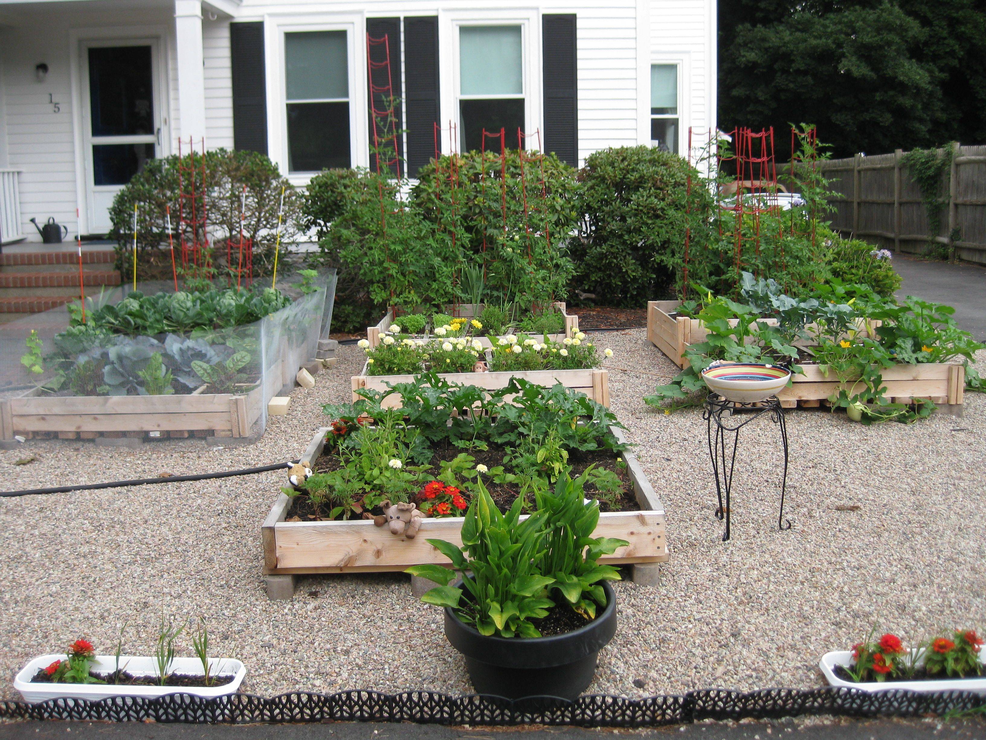 Great Looking Front Yard Veggie Garden