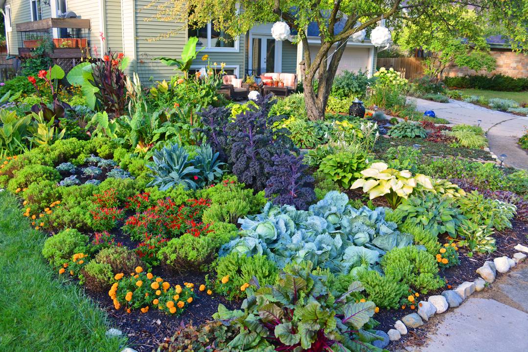 Stunning Modern Kitchen Garden Design Ideas