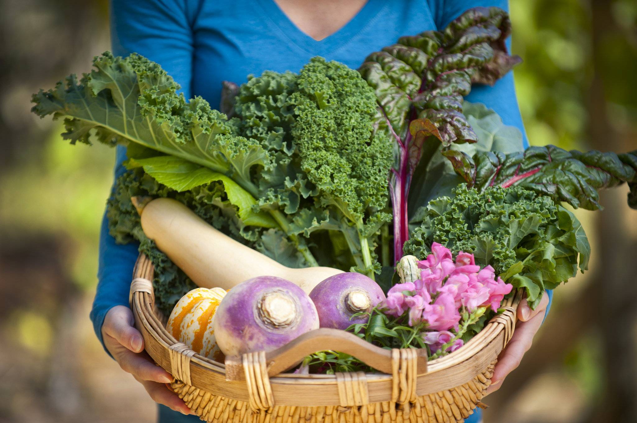 A Fall Winter Vegetable Garden