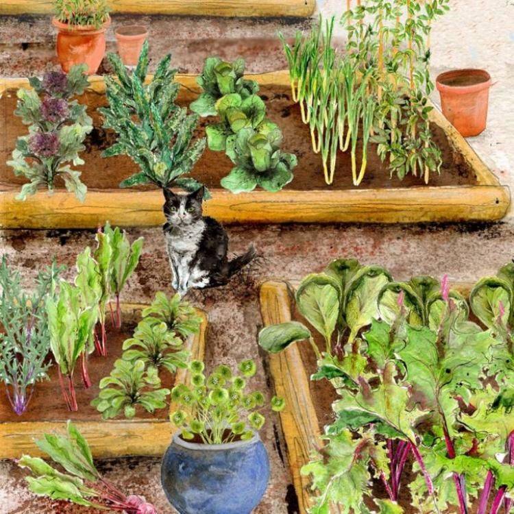 Container Gardening Ideas Uk Ideas