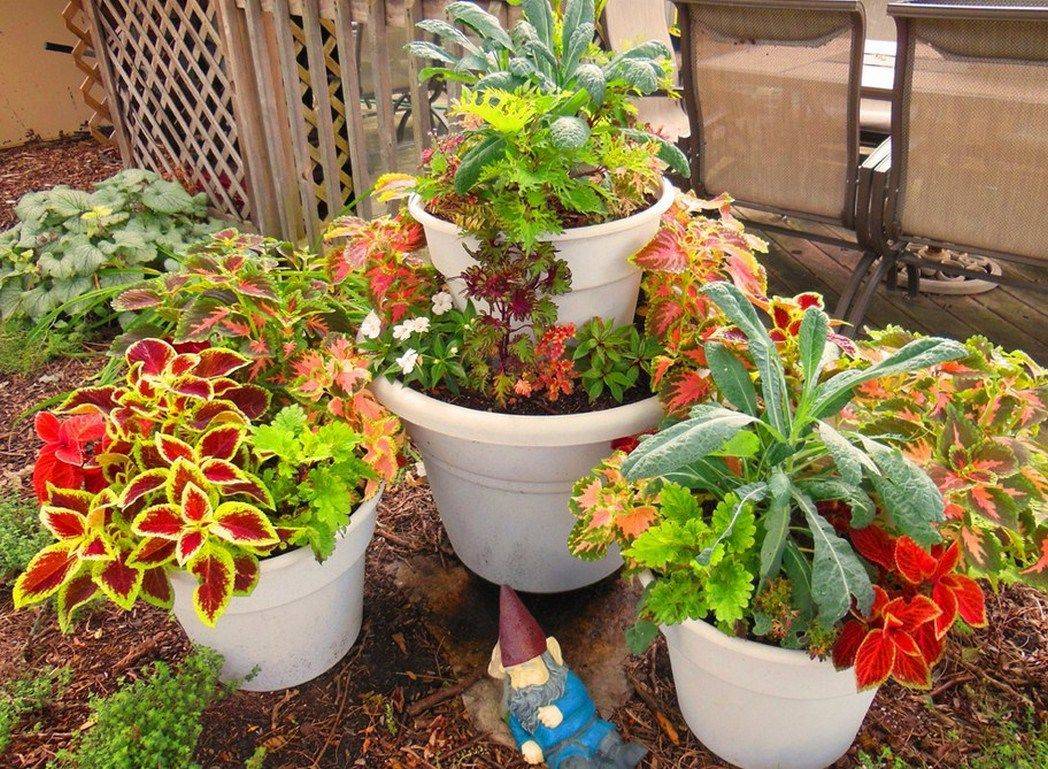 A Small Garden