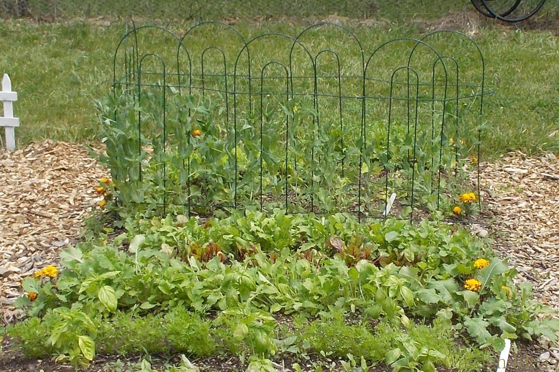 Excellent Fall Vegetable Garden Photo Shade Garden Pictures Awesome