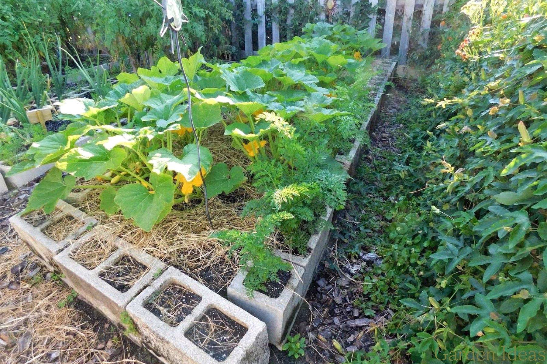 Inspiring Fall Vegetable Garden Photo Small Garden Pictures Inspiring