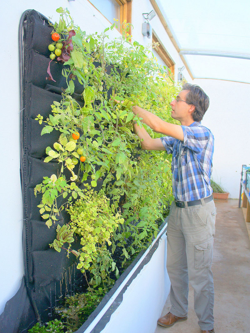 Vertical Herb And Container Garden Organic Vegetable Garden