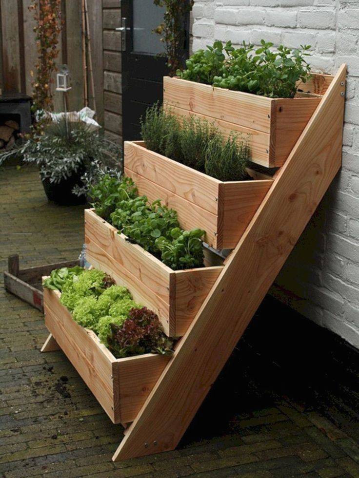 Impressive Vegetable Garden Designs