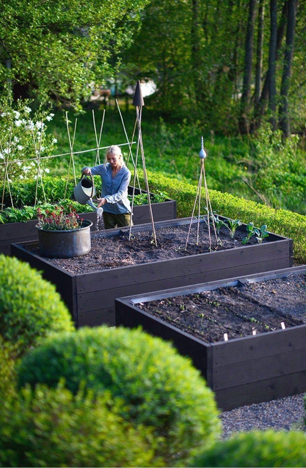 Interesting Vegetables Garden Ideas